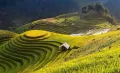 Du lịch Tây Bắc